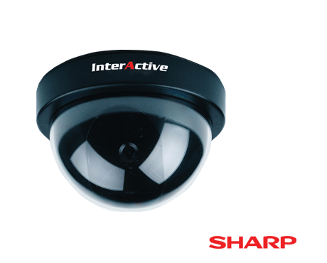 InterActive CCTV & Security System