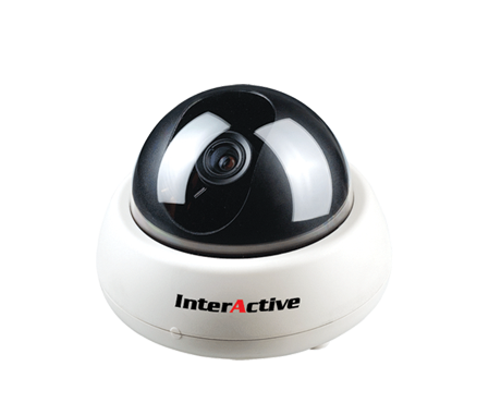 InterActive CCTV & Security System