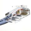 InterActive Digital Signage Player